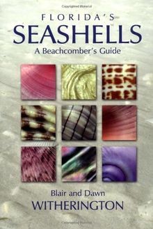 Floridas Seashells: A Beachcombers Guide von With... | Buch | Zustand sehr gut