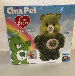 care bear chia pet