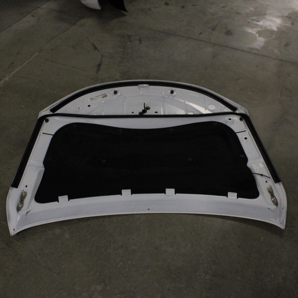 20152017 CHRYSLER 200 Bright White Hood Factory Genuine OEM eBay
