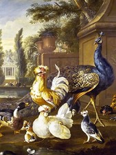 WILDFOWL PEACOCK P. Casteels Birds Tile Mural Kitchen Backsplash Marble Ceramic