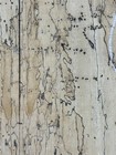 Spalted Tamarind Guitar Drop Top 22" x 7-3/8" x 3/8"Luthier Tonewood Supplies#60 — photo 3