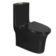 Standard Height One-Piece 1.1/1.6 GPF Dual Flush Elongated Toilet in Matte Black