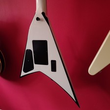 Jackson Randy Rhoads Pro Series RR24 Electric Guitar