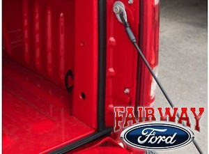 Details About 15 Thru 20 F 150 Oem Genuine Ford Bed Tail Gate Dust Seal Keep The Dirt Out