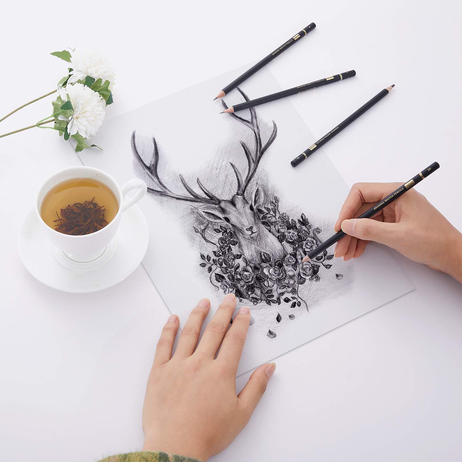 Professional Drawing Sketching Pencil Set - 14 PiecesGraphite12B - 4H Ideal f...