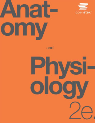 Anatomy and Physiology 2E by Openstax (Official Print Version, Hardcover, Full C