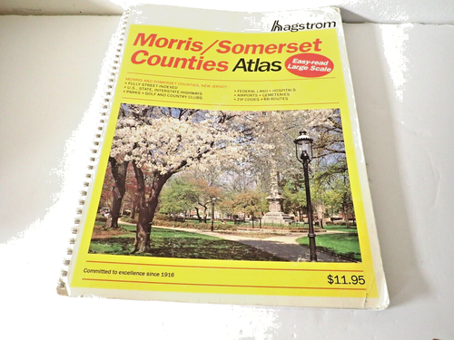Morris/Somerset County, New Jersey Atlas by Hagstrom map Edition 1993 - 第 1/1 張圖片