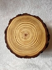 10 New 7-8 Inch Sliced Natural Wood Circle Rounds Wooden Crafting Decoration