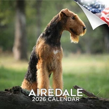 Airedale Dog Breed Calendar 2026 FULL SIZE 12x24 Made in USA