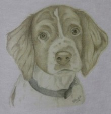 Springer Spaniel T-Shirts 7 designs Baby, Child and Adult sizes. Unique designs