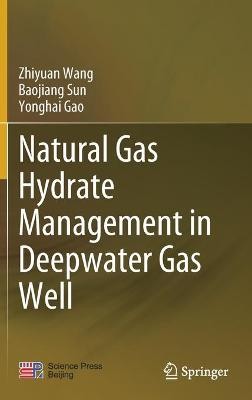Erdgas Hydratmanagement im Tiefwasser-Gasbrunnen - 9789811564178