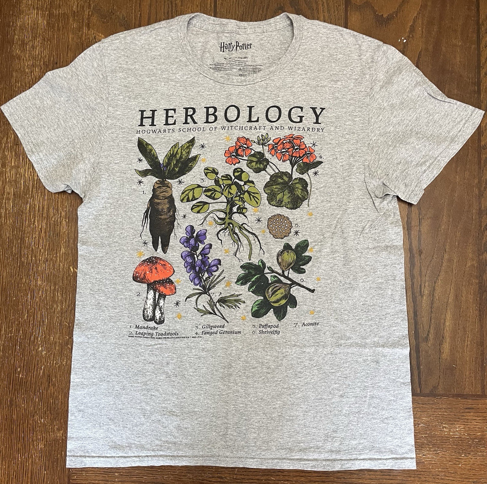 Harry Potter Men's Gray Hogwarts Short Sleeve T-Shirt Herbology Graphic, Size M