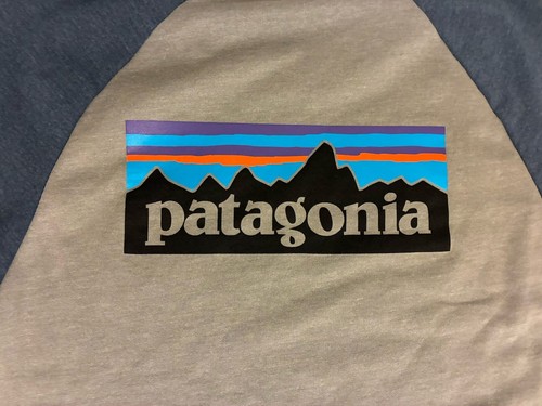 Patagonia P-6 Logo Lightweight Crew Neck Sweatshirt Pullover Men's Medium NEW - Picture 4 of 9