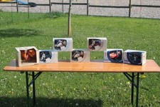 Schleich Drachen Sammlung OVP Eldrador Ritter Fantasy Burg Sonderedition