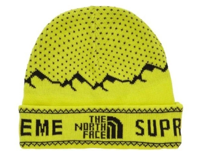 Supreme X DESIGNER BEANIE