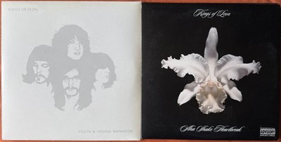 2 x 10'' Kings Of Leon LP (Youth & Young Manhood, Aha Shake Heartbreak),near mint