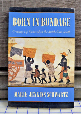 Born in Bondage : Growing up Enslaved in the Antebellum South