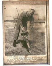 Tree Resembling Electronic Sensor SPY Gear MARINES Vintage 1971 Press Photo