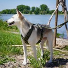 Bild 17 von 70