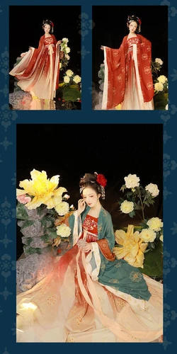 Women Chinese Traditional Hanfu Embroidery Dress Ancient Costumes Robe Clothes - Picture 13 of 27