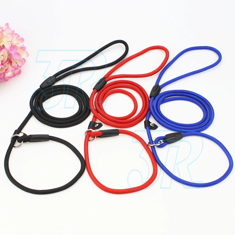 Dog Training Correction Leash Lead Cesar Puppy Pets Millan Slip Nylon Rope AU