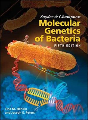 Snyder and Champness Molecular Genetics - Hardcover, by Henkin Tina M.; - New h