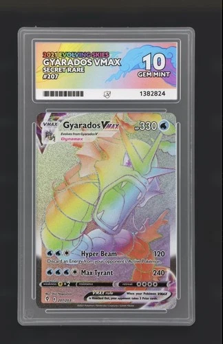 ACE 10 Gyarados VMAX 207/203 PERFECT SUBGRADES Evolving Skies Pokemon TCG