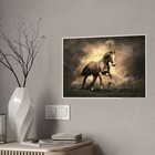 * Wild Horse* Gloss Posters