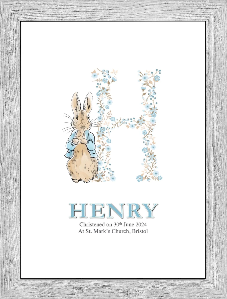 Peter rabbit best sale baby boy gifts