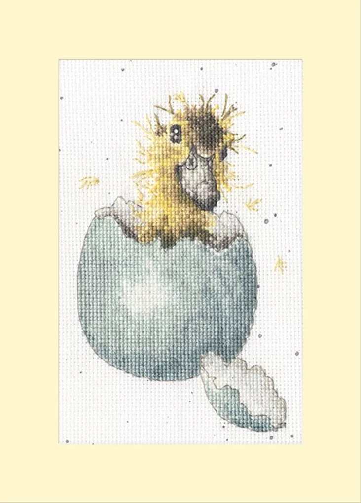 Peek-a-Boo Greetings Card Cross Stitch Kit by Bothy Threads