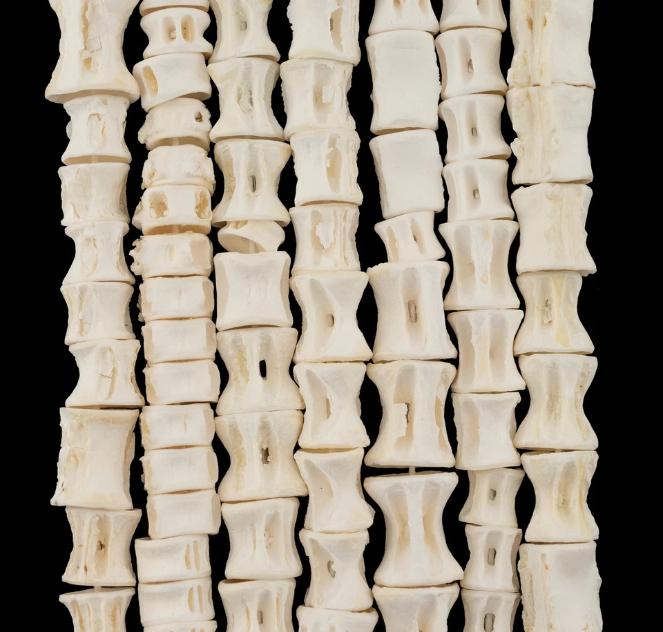 Elongated Fish Bone Beads 12-16mm West Africa African White Cylinder Handmade - Image 4 of 4