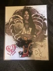WWE AJ Lee Wrestling Autographed 11 x 14 Photo Signed WrestleMania 42 127/300