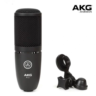 AKG P120 High-Performance Recording Microphone Project Studios with XLR Cable