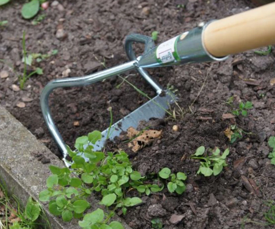 Unkrauthacke Bügelzughacke 15cm Gartenhacke Bügelhacke Hacke ohne Stiel verzinkt - Bild 2 von 2