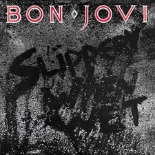 Slippery When Wet[LP] 