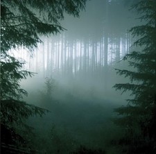 THY SERPENT - Forests of Witchery, New, black metal, CD, Old Man's Child, Kvist