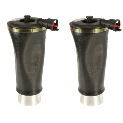 Arnott A-2220 Pair Set of 2 Rear Air Sus Springs For Ford Lincoln Mercury