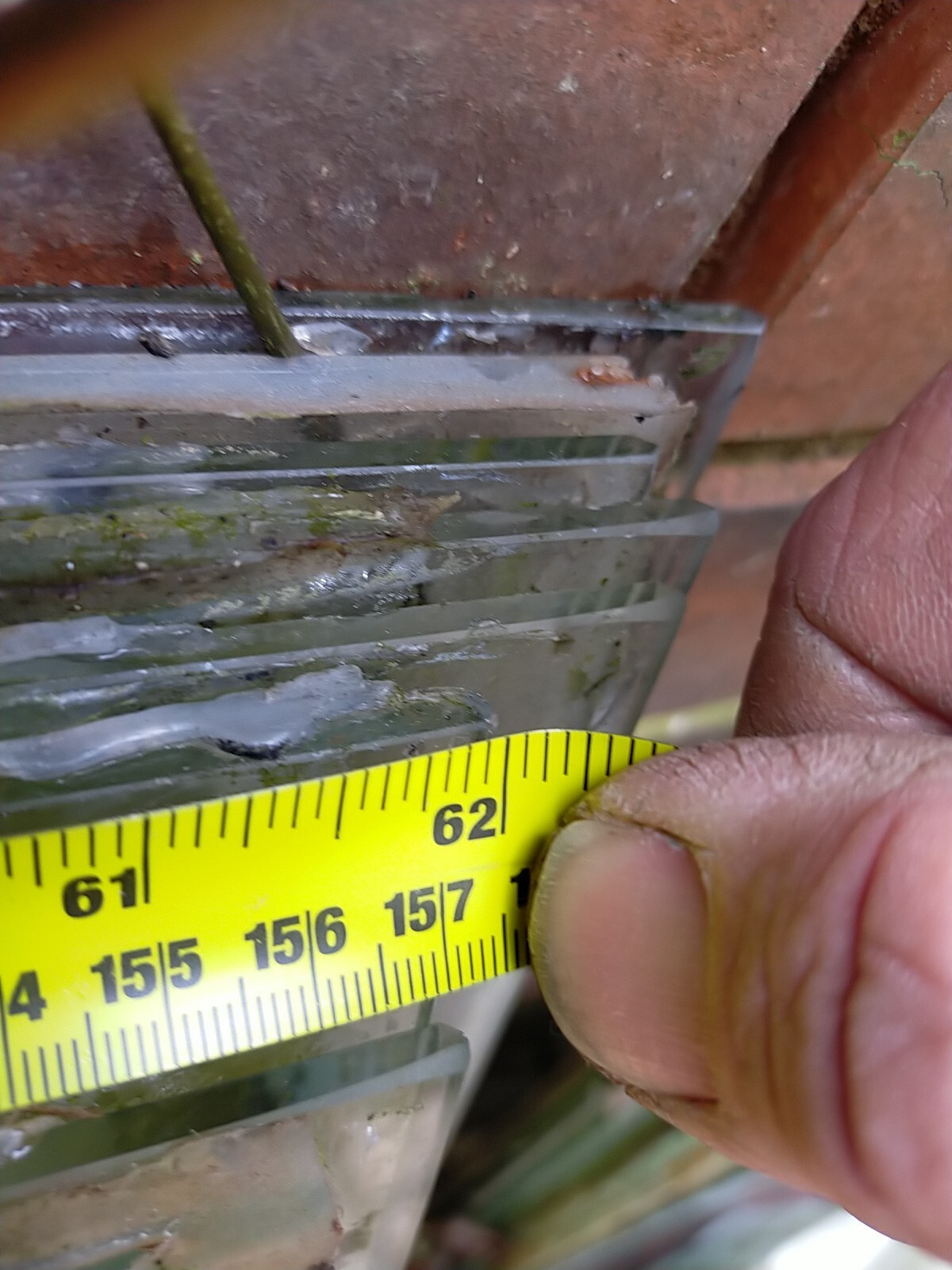 Toughened Greenhouse Glass (Lots Of). 1575mm (62 Inch) X610mm(24inch