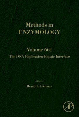 DNA Replication-repair Interface, Hardcover by Eichman, Brandt (EDT), Brand N...