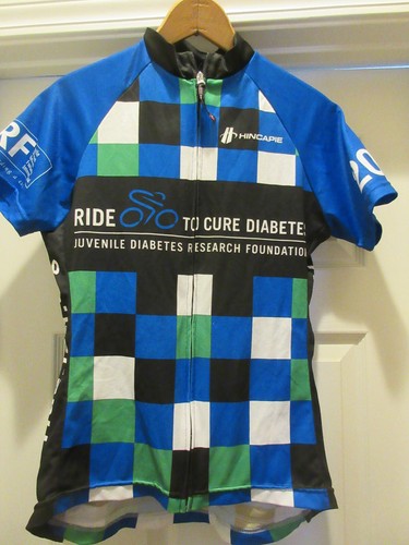 Gently Used. Hincapie cycling Jersey. Women's M