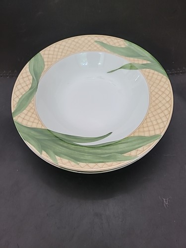 6x Zuppiere in fine porcellana 9,25" bordate ~ 222 Quinta foresta pluviale