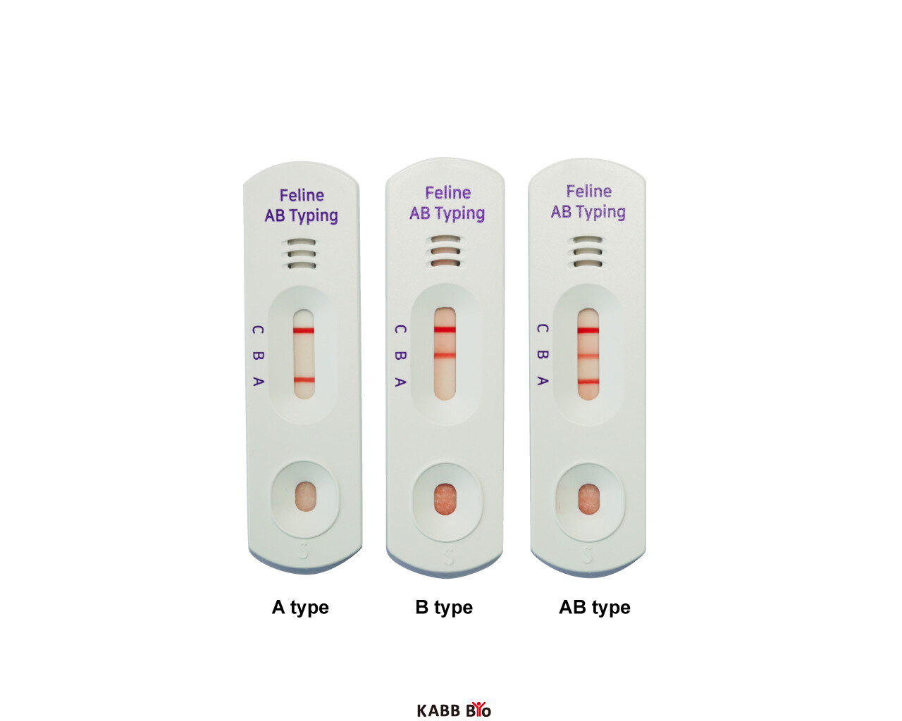 [L2J BIO] Feline AB Blood Typing Rapid Kit, Health Test Kit for Pet (Cat)5ea eBay