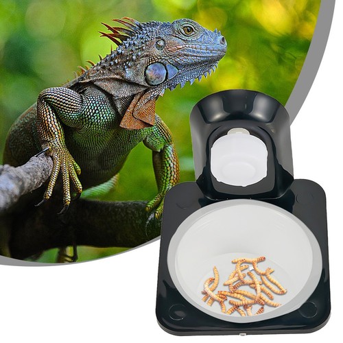 ABS Reptile Tank Food Water Feeding Bowl Holder Dish Multiple Options Available - Picture 6 of 60