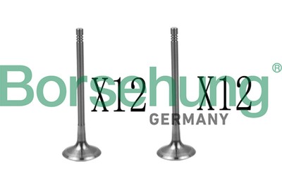 Ventilsatz Einlass-/Auslassventil Borsehung B18639 für VW TOUAREG 7P5 7P6 7LA A6