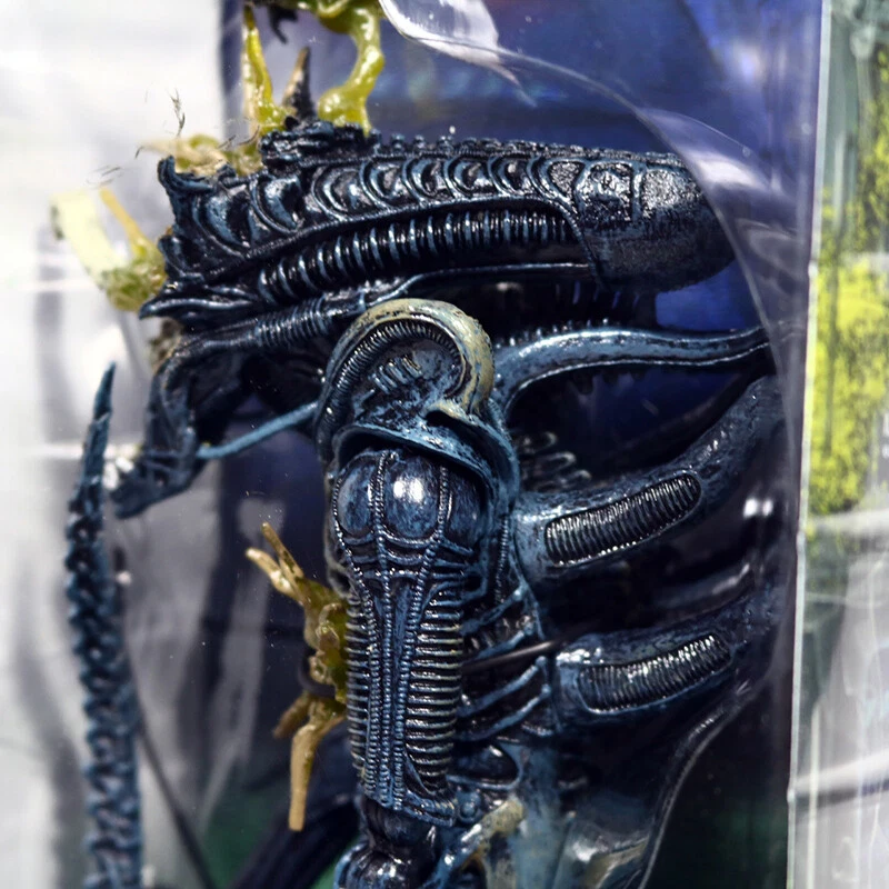特撮 NECA - Aliens 7&quot; scale action figure - Series 12 Xenomorph Warrior Blue (Battle Damaged) Aliens - Series 12 - Battle Damaged Aliens Warrior 7