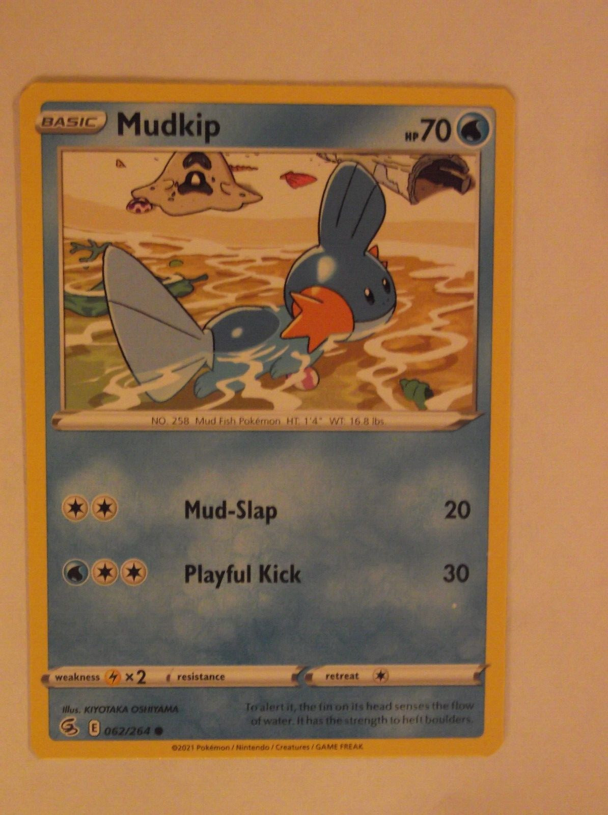 121PK062 - Mudkip- 62/ 264 - Fusion Strike - Common