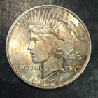 1924 Peace Silver Dollar - High Quality Scans #P060