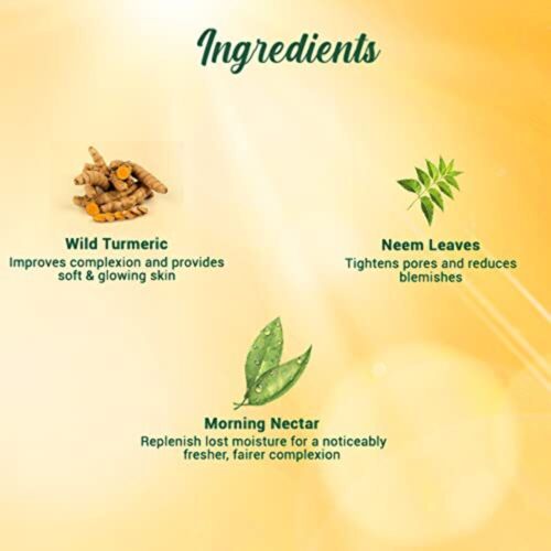 Biotique Morning Nectar Sun Protect Moisturizer SPF 30 UVA/UVB Sunscreen| Contai - Picture 6 of 10