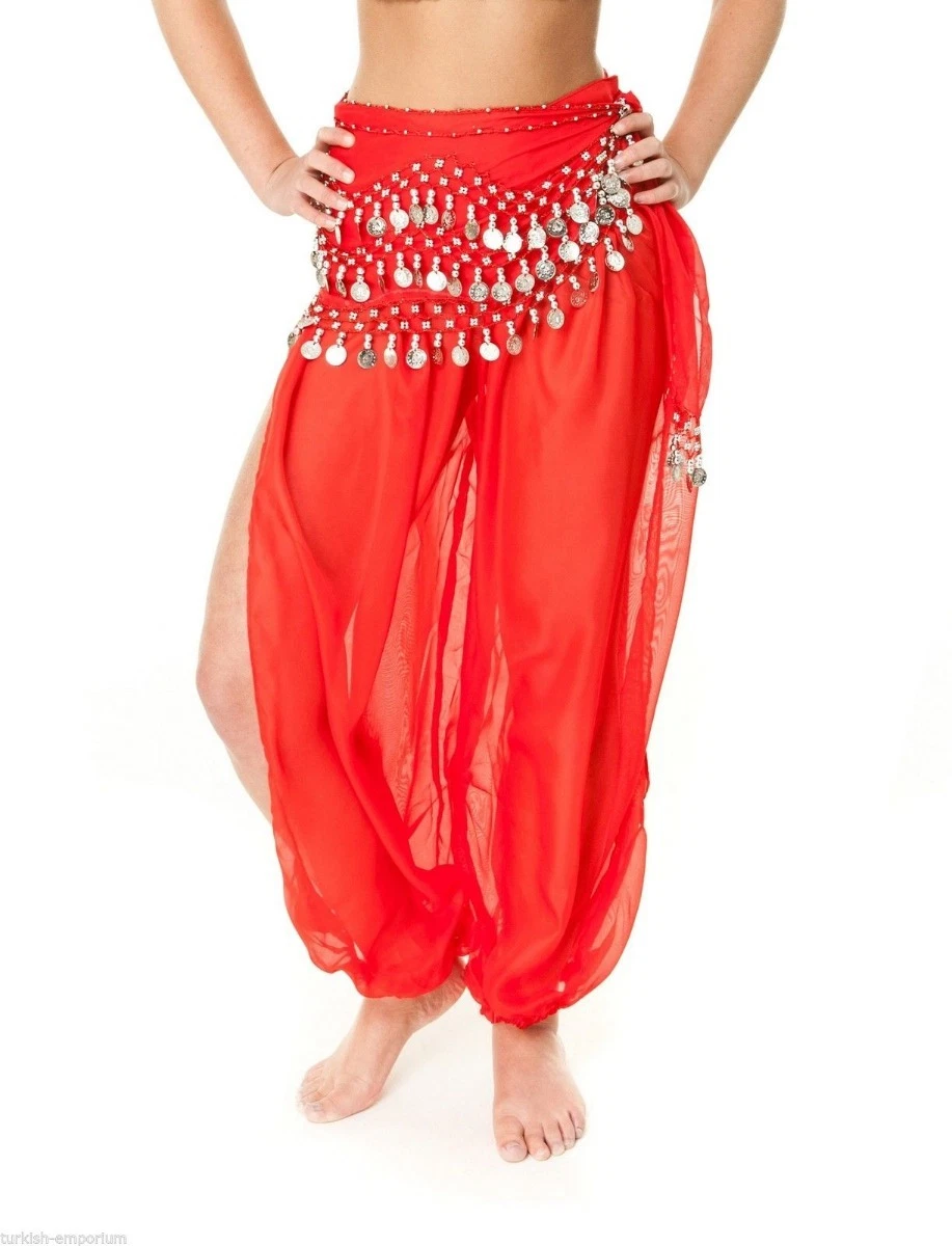 Belly Dance Skirt with Harem Pants in Black