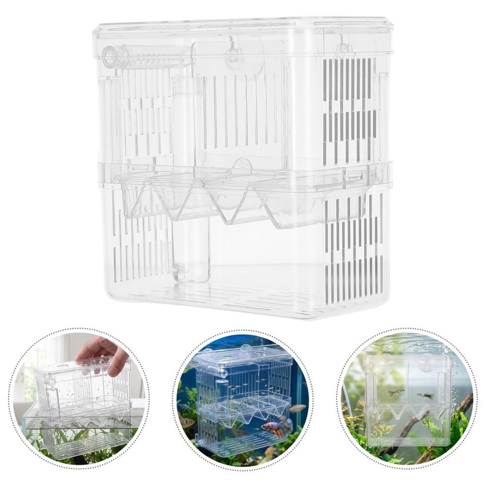 Durable Transparent Aquarium Isolation Box Plastic Fish Fry Hatchery ...